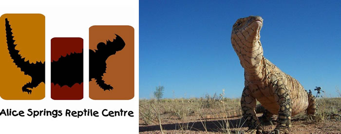 Alice Springs Reptile Centre